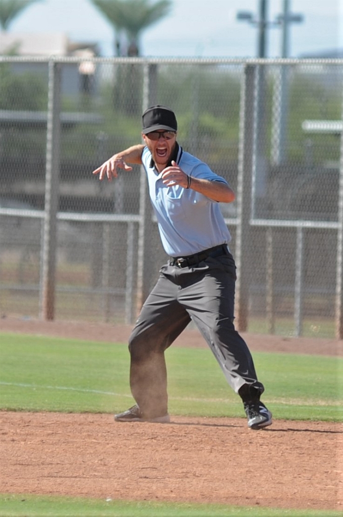 Seals_2019-10-09 (346).JPG - (c)2010 DeVetter